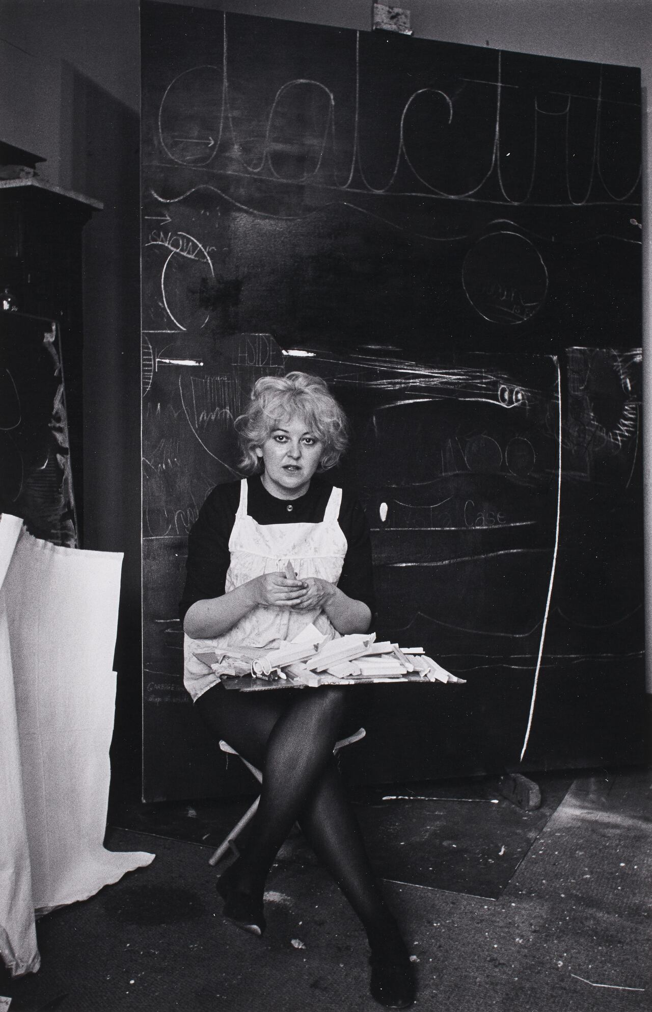 Joyce Wieland — artwork