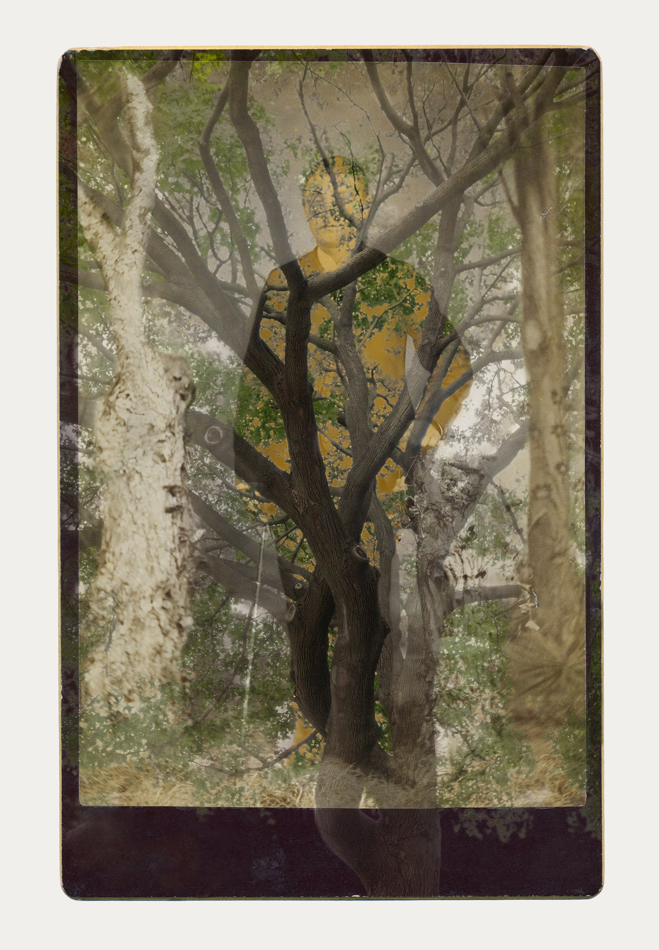 Sara Angelucci — artwork
