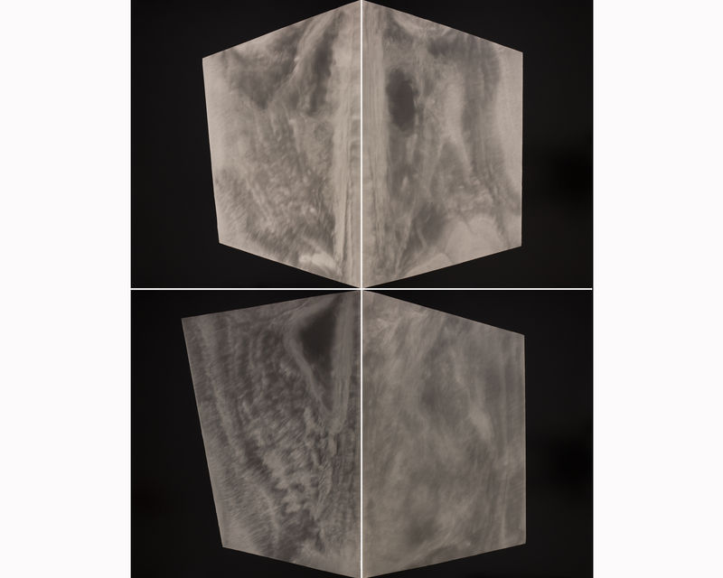 Alison Rossiter — artwork