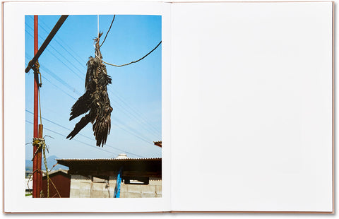 Guillaume Simoneau — artwork