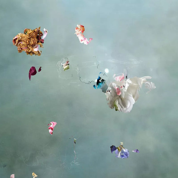 Isabelle Menin — artwork