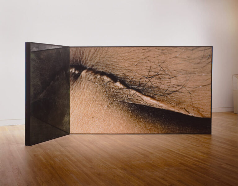 Geneviève Cadieux — artwork