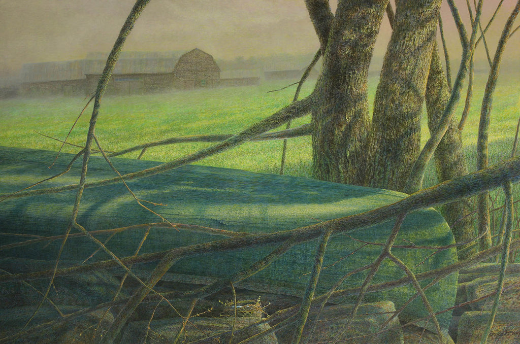 David McKay — artwork
