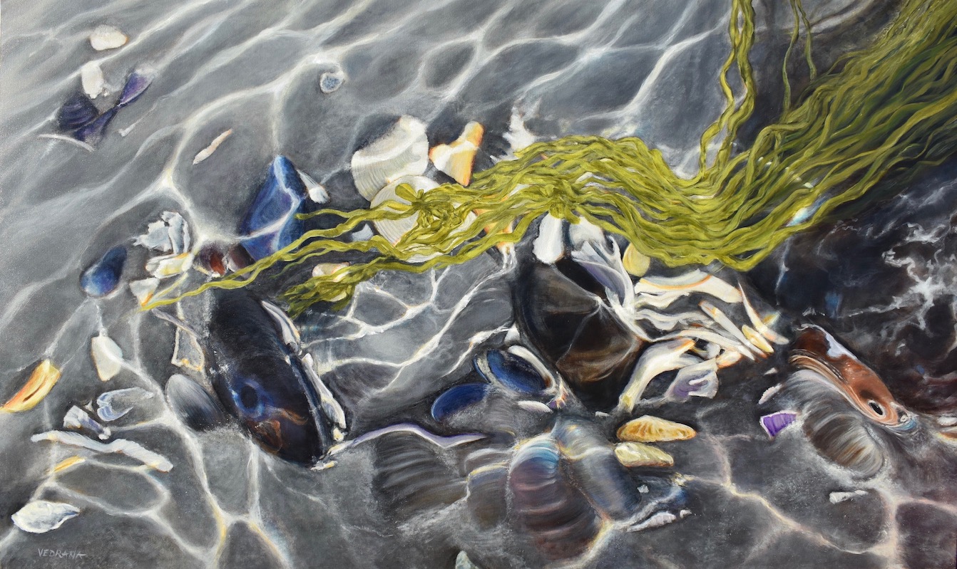 Vedrana Ascroft — artwork