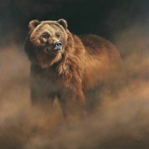 Grizzly Gaze — artwork
