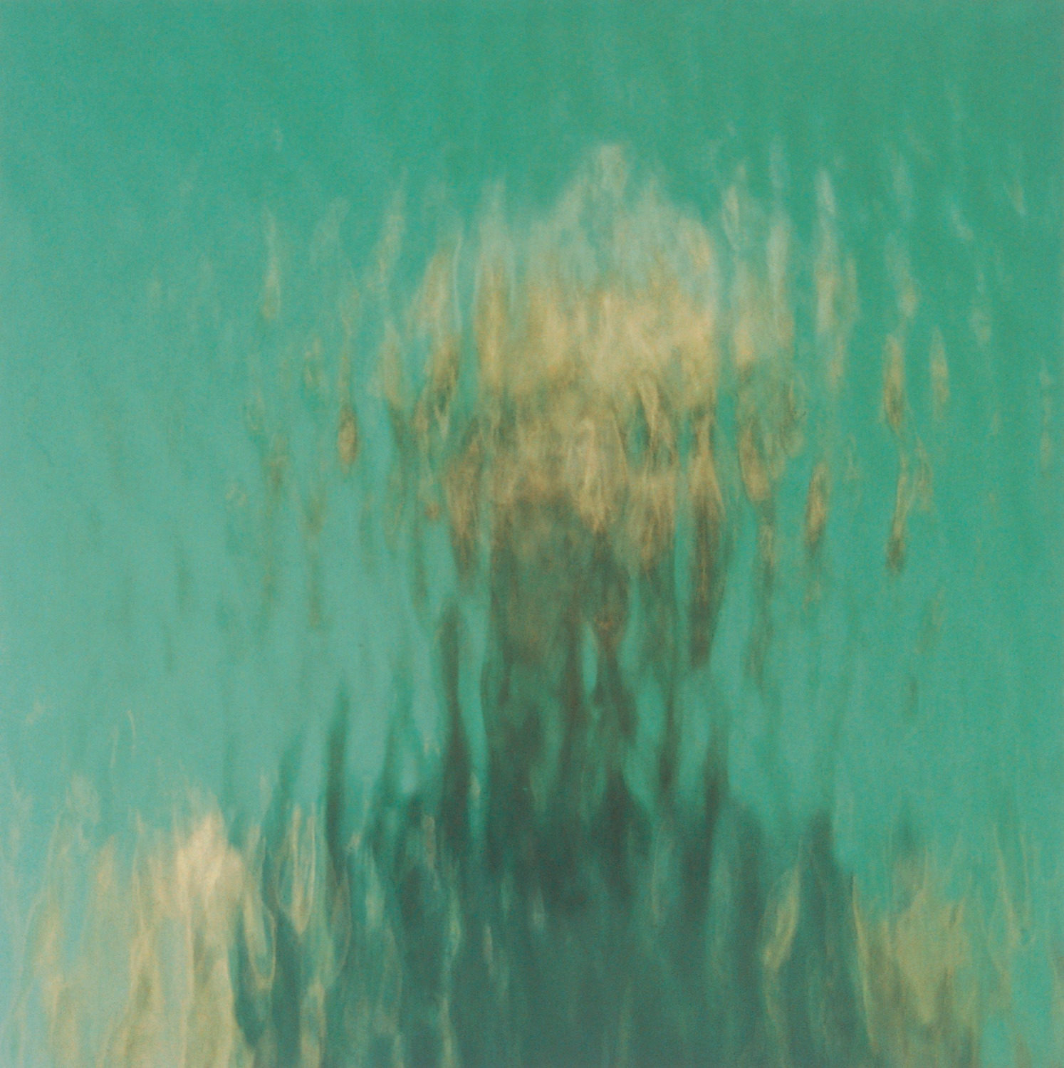 Ann Hamilton — artwork