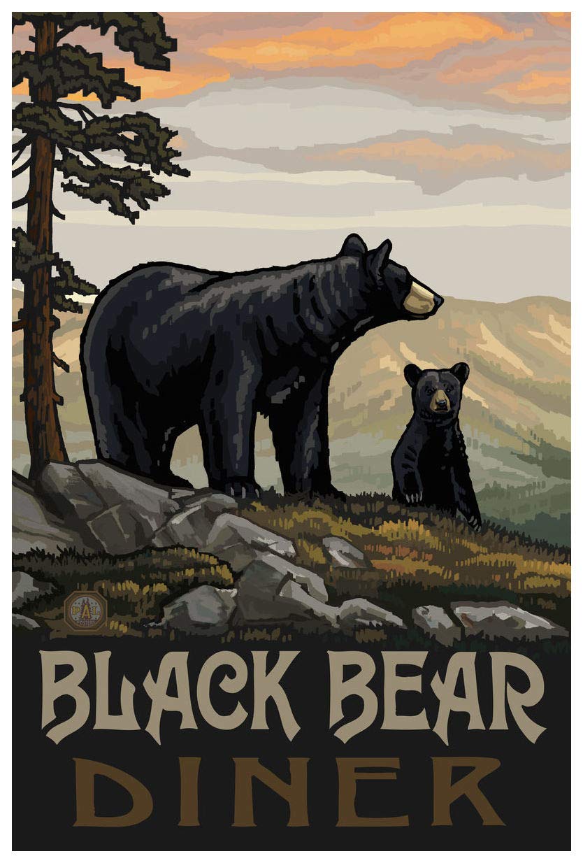 Black Bear Author — artwork
