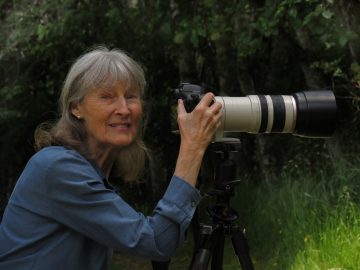 Birgit Freybe Bateman — artwork