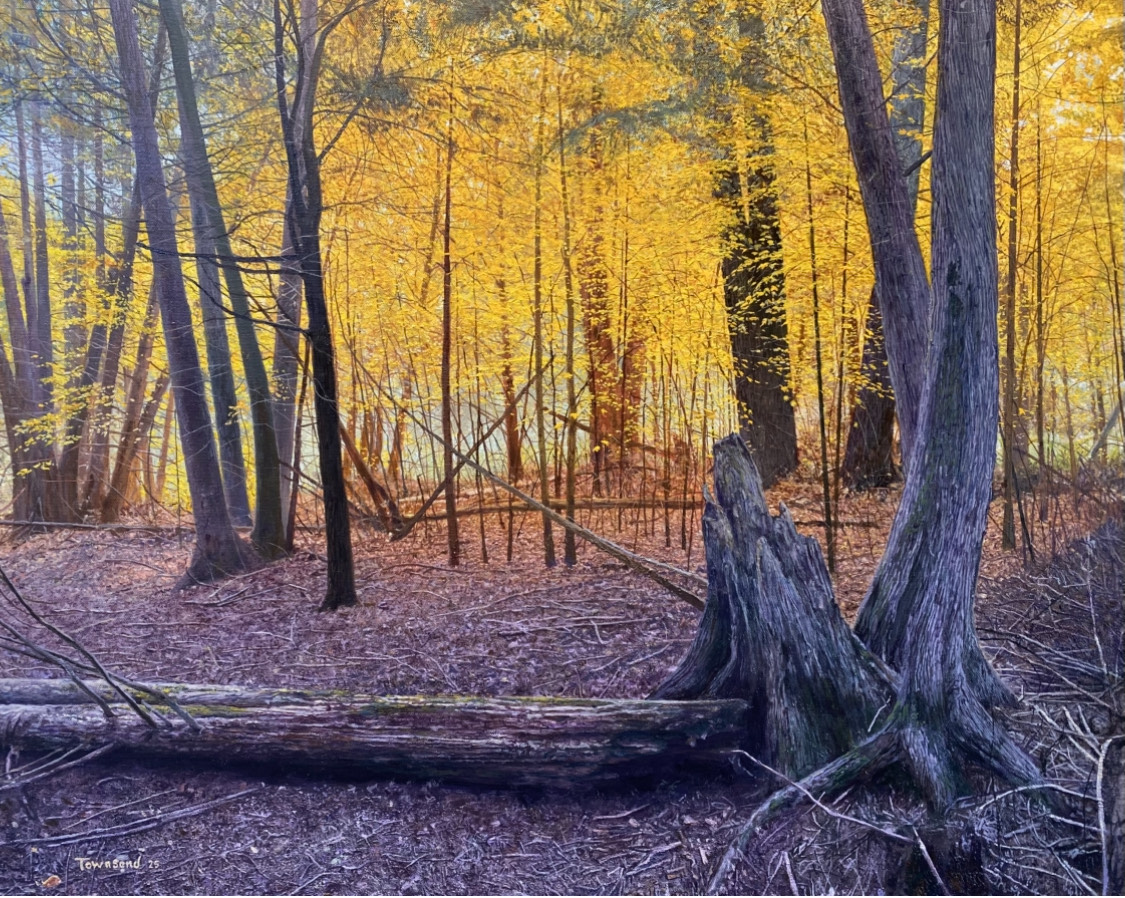 Brent Townsend — artwork