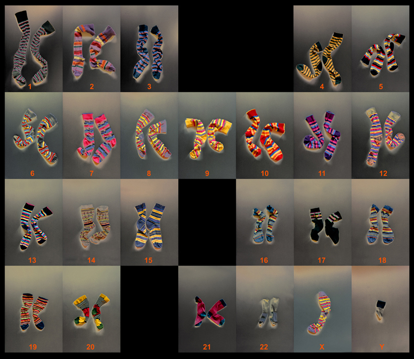 Ginny Glover — artwork