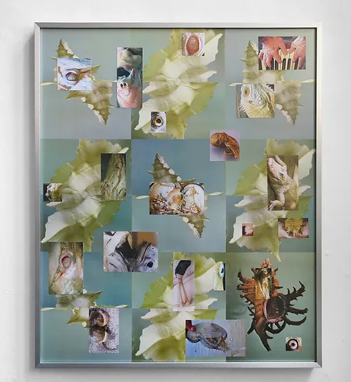 Jason de Haan — artwork