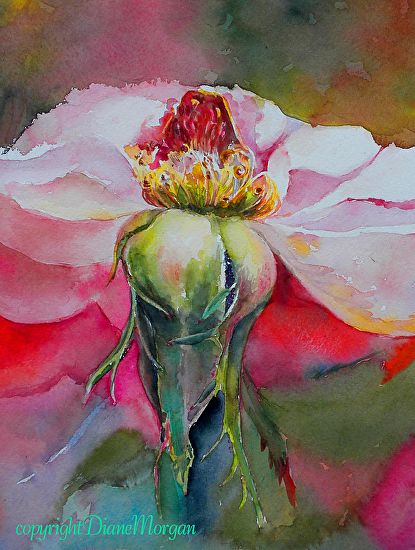 Diane Morgan — artwork