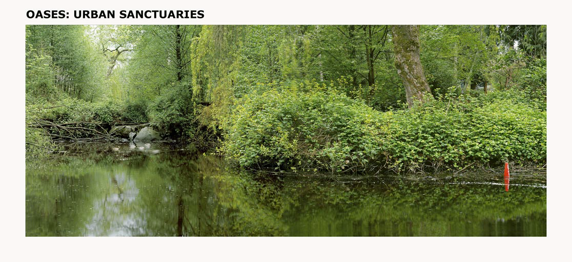 Margaret Lawther — artwork