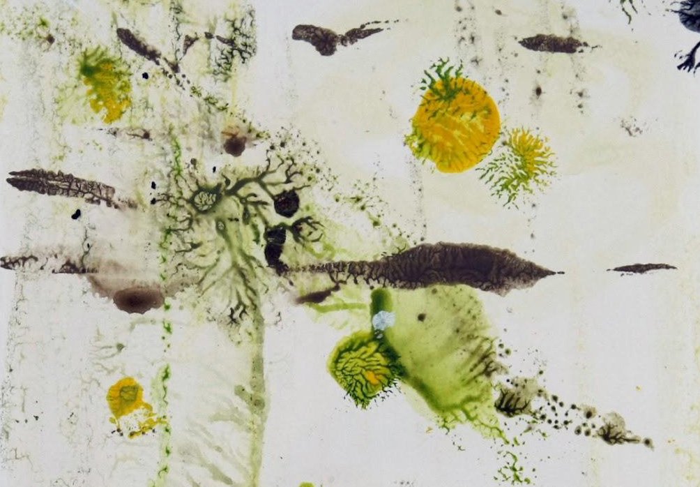 Susan MacDonald — artwork