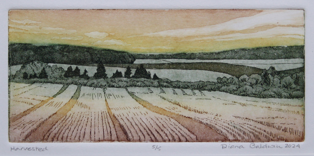 Diana Baldwin — artwork