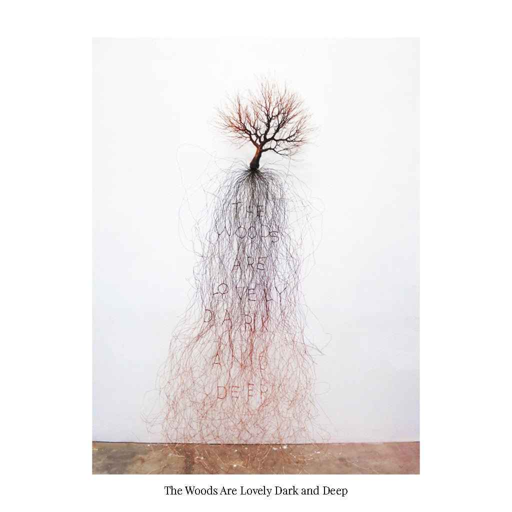 Shane Lightbown — artwork